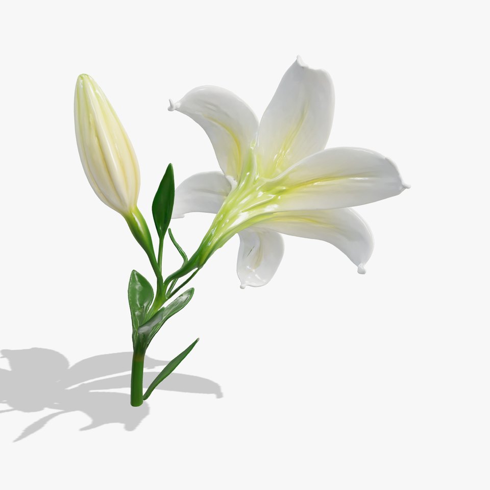 Majestic White Lily Floral Sculpture model pack